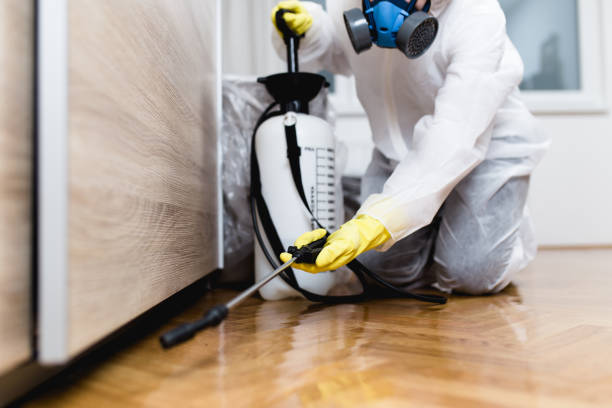 Best Pest Control Near Me  in Somerville, TX