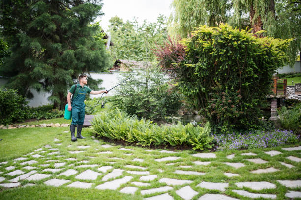 Pest Prevention Services in Somerville, TX