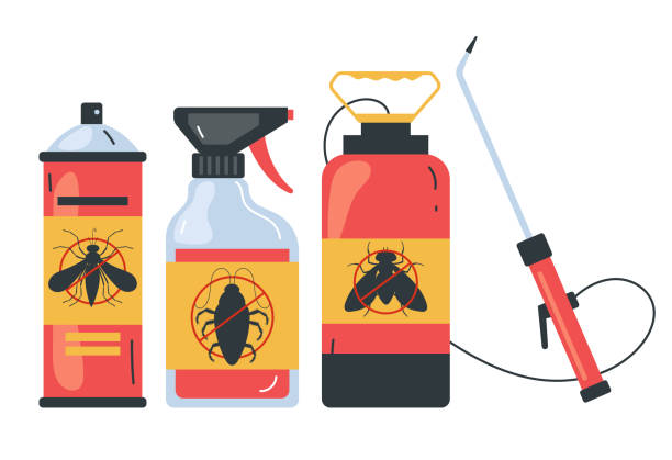 Best Insect Control  in Somerville, TX
