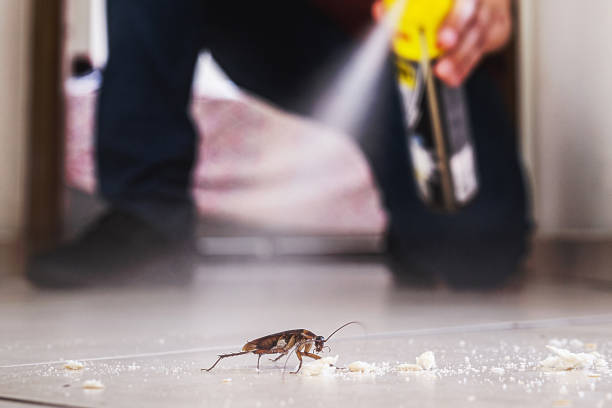 Best Wildlife Control Services  in Somerville, TX