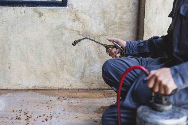 Best Best Pest Control Companies  in Somerville, TX